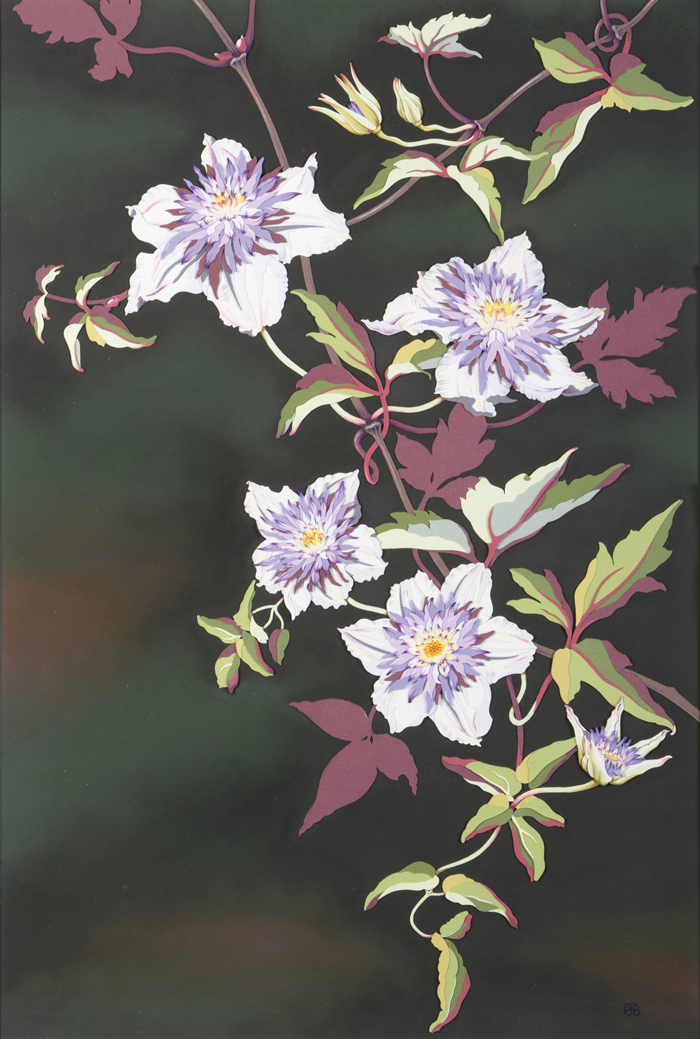 clematis-resized