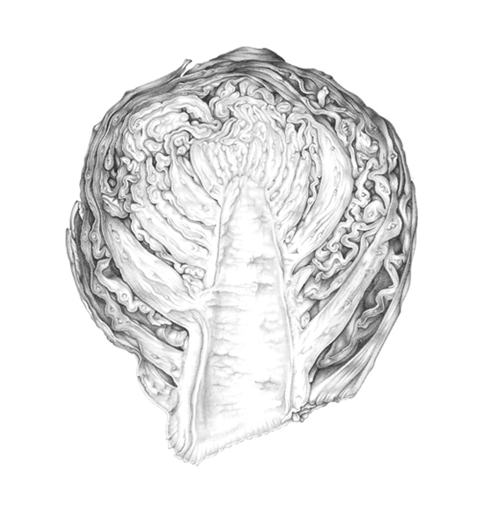 brussel-sprout-resized