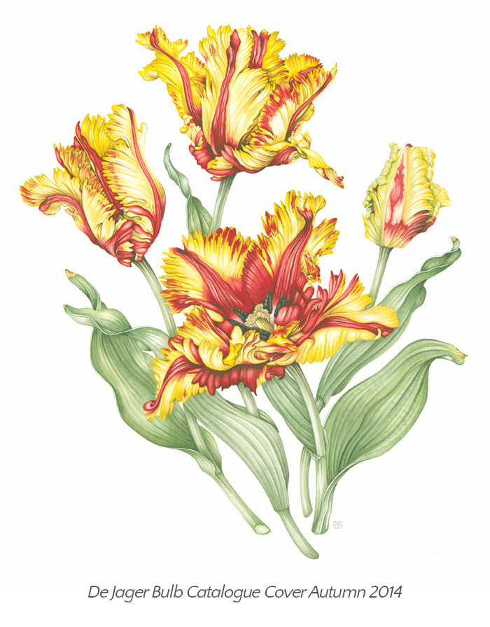 flaming-parrot-resized-edit