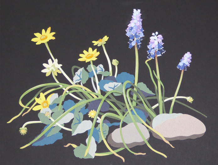 grape-hyacinths-and-lesser-celandines-resized