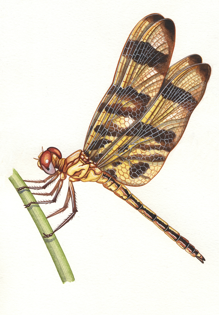 halloween-pennant-resized