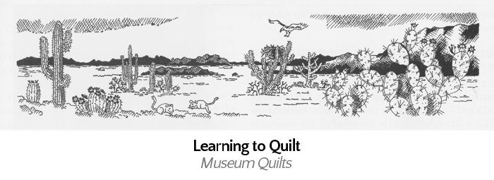 desertbsketborder-resized