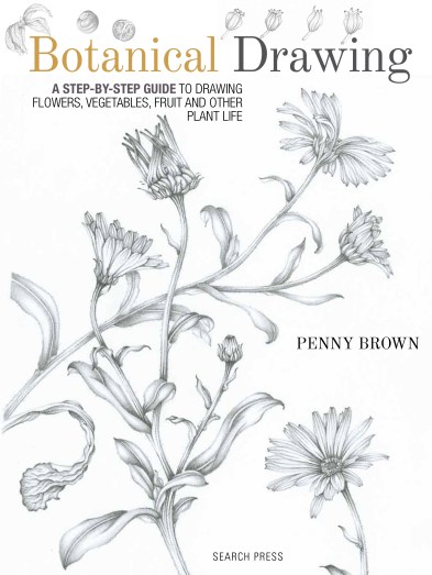 Botanical Drawing Cover